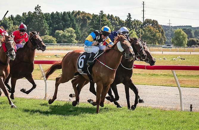 Goldie’s Chance (No. 6) scores a narrow victory in the Listed Liquorland Gore Guineas (1335m) on Saturday - Photo: Monica Toretto
