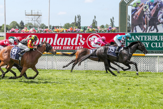 Aimee’s Jewel winning the Gr.3 Valachi Downs Canterbury Breeders’ Stakes (1400m). Photo: Race Images South