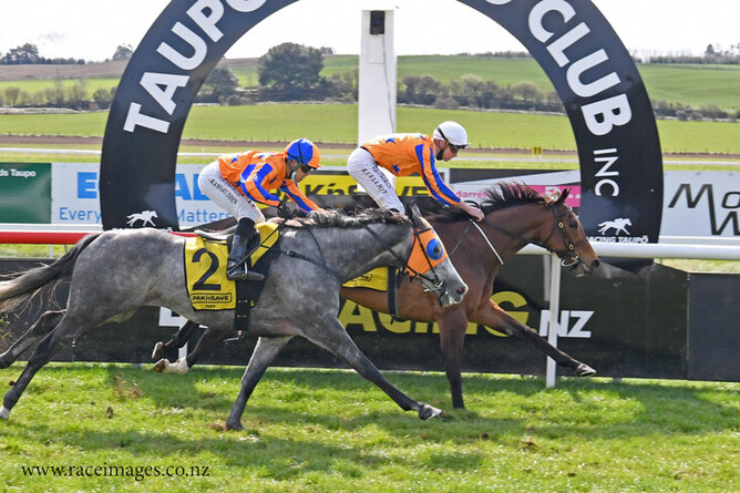 Maasir adds another win to his tally at Taupo on Friday. - Photo: Race Images