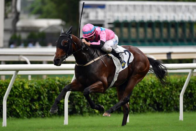 Zac Purton urges Beluga to the line at Sha Tin. - Photo: HKJC