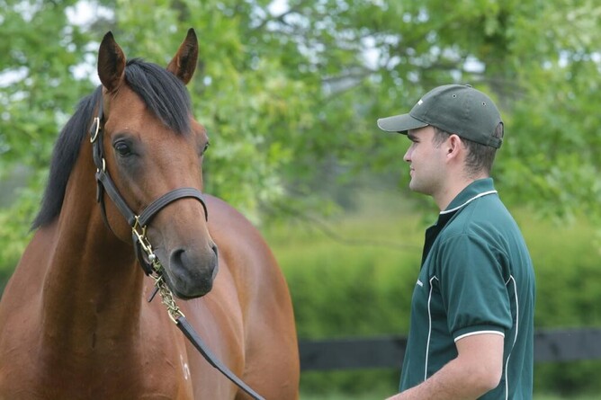 Liam Cunningham and 2022 New Zealand Derby winner Asterix as a yearling. - Photo: Trish Dunell