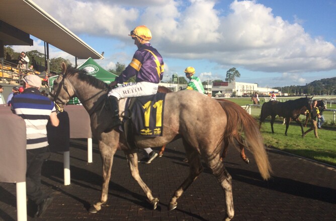 Tribal Wisdom returns to scale - @gossytrack, Twitter