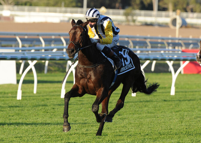 Provocative - Photo: Grant Peters