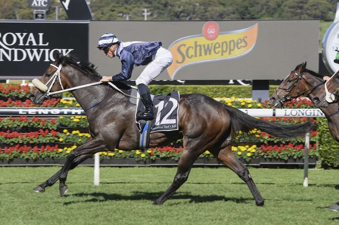 Kinane winning the Gr.3 Frank Packer Plate (2000m).  - Photo: Bradleyphotos.com.au