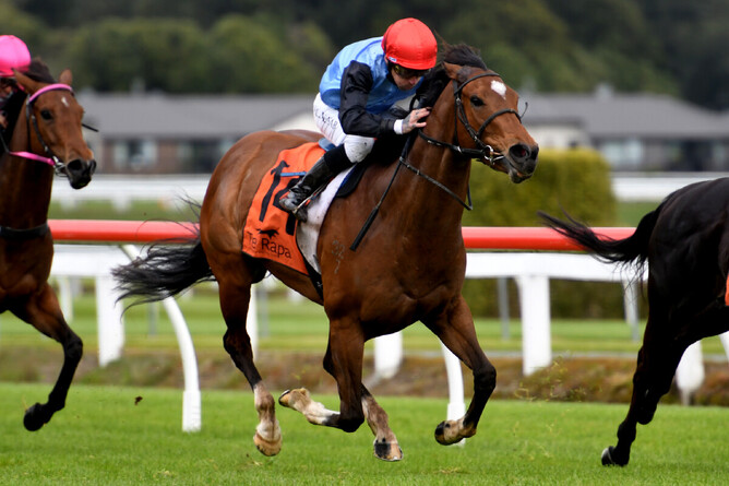 Tevere on her way to winning at Te Rapa on Friday. - Photo: Kenton Wright, Race Images