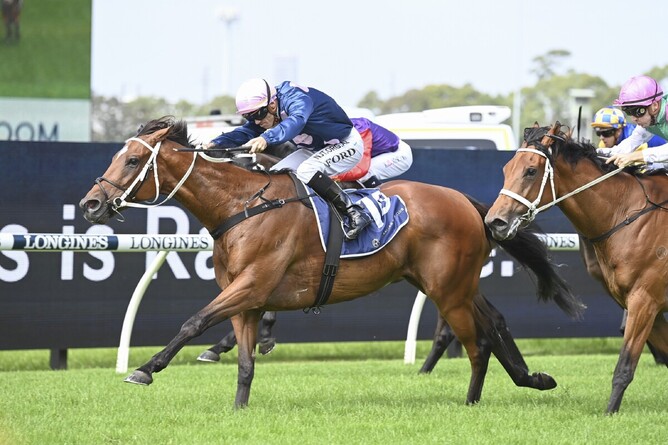No Compromise wins the Gr.3 Queen’s Cup (2400m) at Rosehill - Photo: Bradleyphotos.com.au