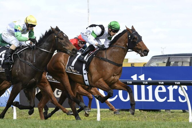 Dimaggio winning at Hastings on Saturday. - Photo: Peter Rubery, Race Images