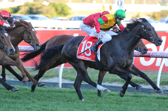 Age of Chivalry on his way to recording another Saturday win at Caulfield - Bruno Cannatelli
