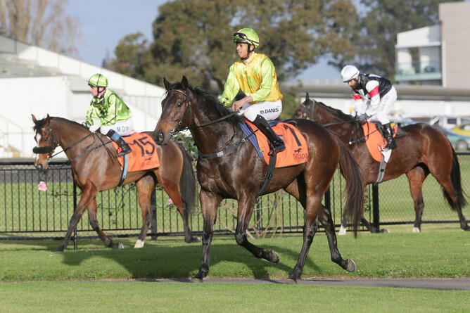 Roc de Bank returns to scale at Te Rapa - Photo: Trish Dunell