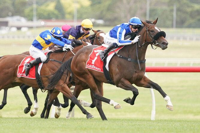 Curraghmore graduate Ruthless Dame scores on debut. - Photo: Scott Barbour, Racing Photos