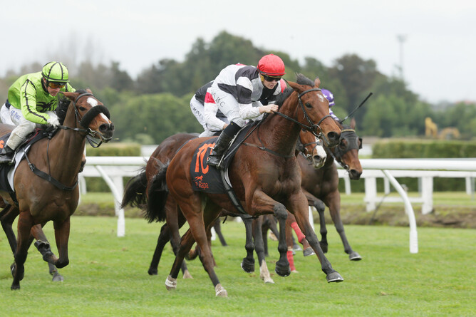 High Class - Photo: Trish Dunell