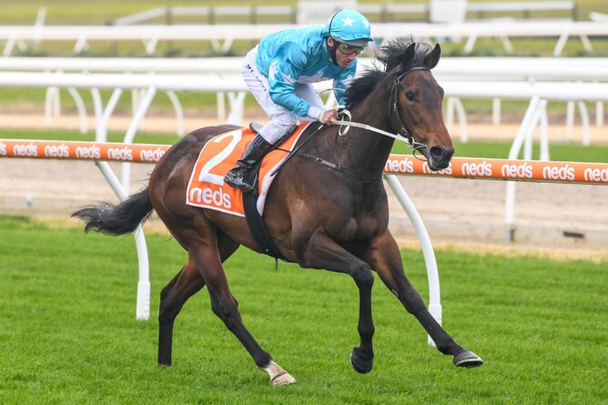Annavisto will resume at Caulfield on Saturday. - Photo: Natasha Morello, Racing Photos