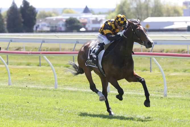 Snazzytavi made an impressive debut at Rotorua on Sunday - Photo: Trish Dunell