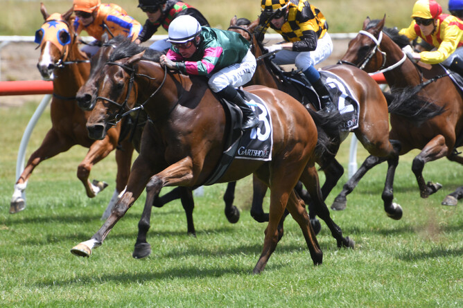 Impressive Tauranga winner Let’s Say Grace - Photo: Race Images (Kenton Wright)