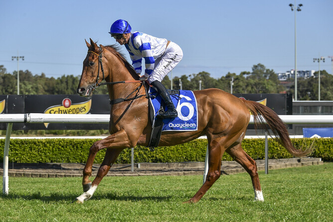 My Truth gets a win on the board at Canterbury.  - Photo: bradleyphotos.com.au