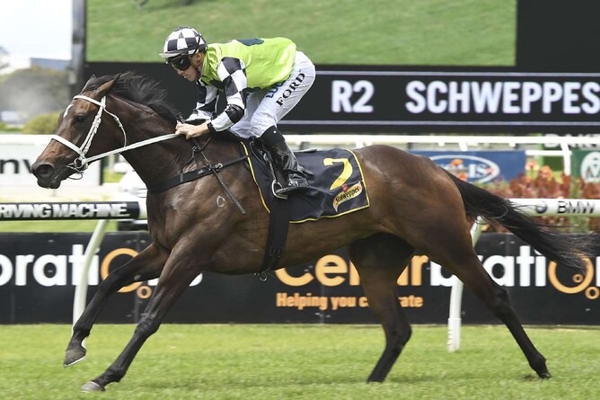 Unforgotten - Bradley Photographers