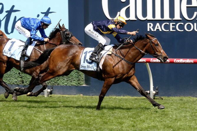 Tofane will contest the Gr.1 T.J. Smith Stakes (1200m) on Saturday. Photo: Darryl Sherer