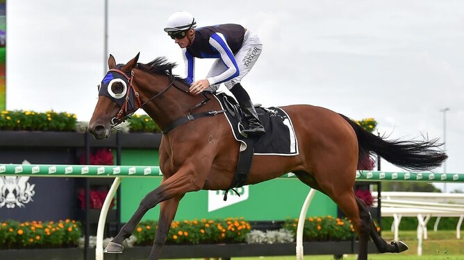 Gypsy Goddess coasts to victory in the 3YO Handicap at Eagle Farm under jockey Kyle Wilson-Taylor.  - Picture: Trackside Photography, news.com.au