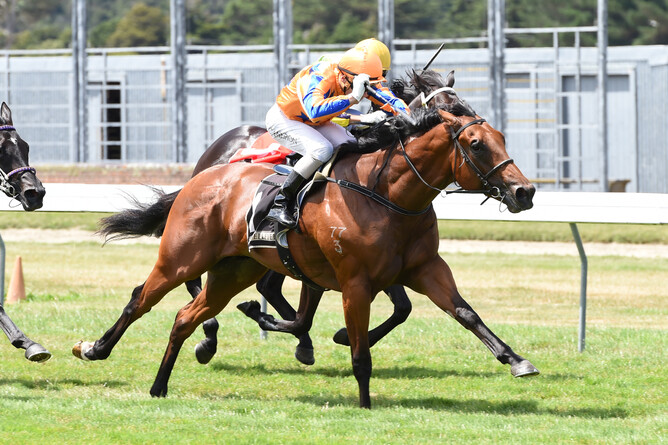Heroic Valour - Photo: Race Images PN