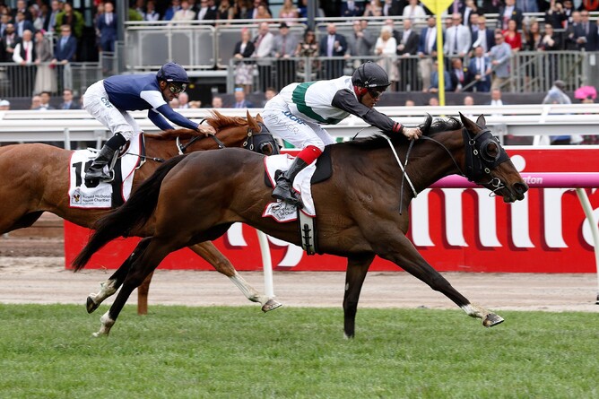 Fanatic - Photo: Darryl Sherer