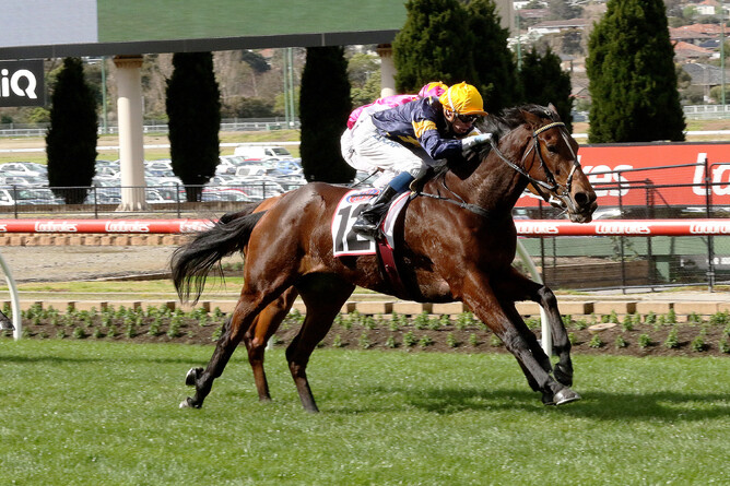 Tofane on her way to winning at Moonee Valley on Saturday - Darryl Sherer