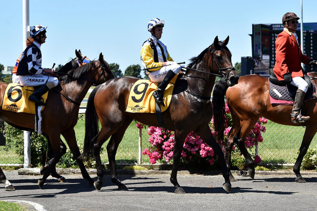 Provocative - Photo: Race Images PN