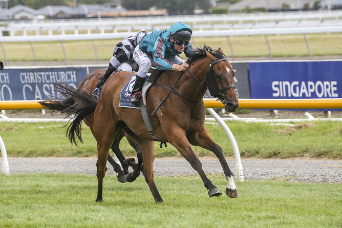 Terry Moseley has He Kin Fly in full flight on his way to victory at Riccarton - Race Images South