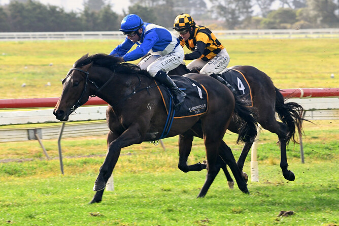So Naive winning the Gr.3 Cambridge Stud Northland Breeders’ Stakes (1200m) at Ruakaka on Saturday. - Photo: Therese Davis