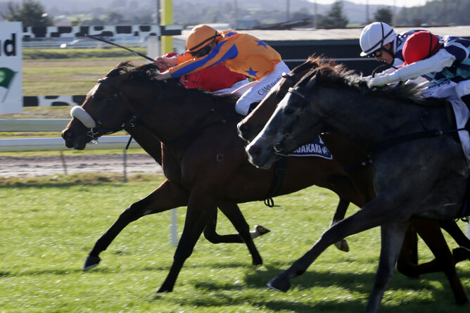 Heroic Valour  - photo: Race Images