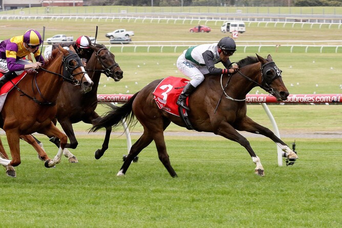 Fanatic - Darryl Sherer