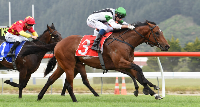 Cambridge visitor Not An Option claims the Gr.2 Platinum Homes Taranaki Wakefield Challenge Stakes (1100m) at Trentham Photo credit: Race Images – Peter Rubery