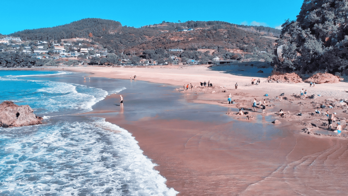 Explore Coromandel: Discover Hahei Beach &amp; More | Annabells BnB Whitianga