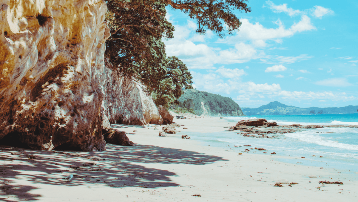Explore Coromandel: Discover Hahei Beach &amp; More | Annabells BnB Whitianga