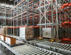 Davis Automated Bulk Pallet Storage
