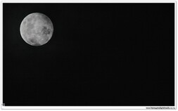 Photography - Content is King!  A single image can convey many emotions and ideas.  Ivor creates content for you in the form of photographs and video that help you to connect with your clients.