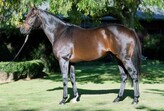 PREFERMENT