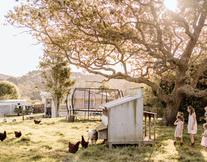 The Kiwi Country Girl