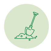 Casuarina | Soil Type | BH Horticulture