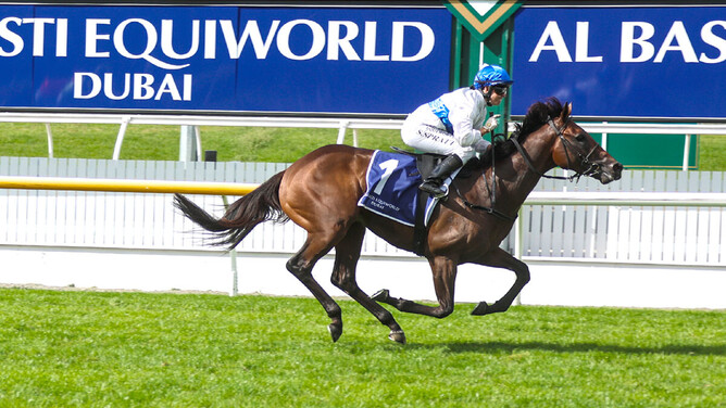 Savaglee will likely head to the spelling paddock after finishing runner-up in Saturday's Gr.1 Australian Guineas (1600m).  - Photo: Race Images South