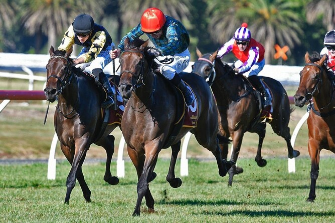 Dubai Gold will compete as Dubai Goldrush in Saturday's Gr.1 Australian Oaks (2400m) at Randwick. - Photo: Kenton Wright (Race Images)