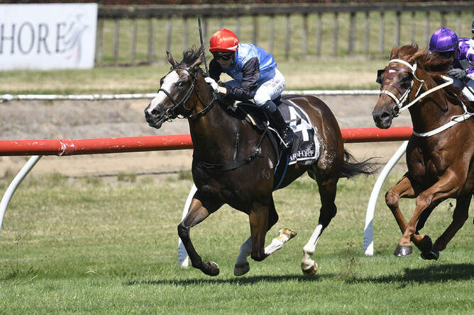 New Recruit winning at Tauranga on Saturday. - Photo: Kenton Wright