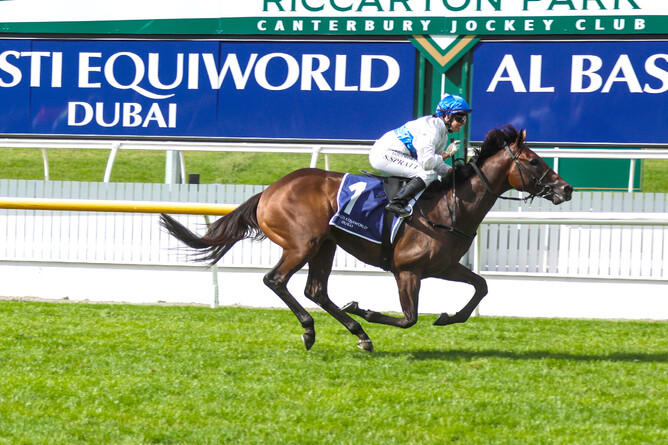 Savaglee will contest the Gr.1 BCD Group Sprint (1400m) at Te Rapa on Saturday.  - Photo: Race Images (South)