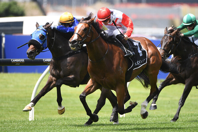 Affirmative Action storms to victory on Melbourne Cup Day - Photo: Kenton Wright (Race Images)