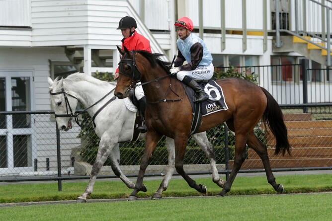 Sadhbh returning victorious at Te Rapa on Sunday. - Photo: Trish Dunell