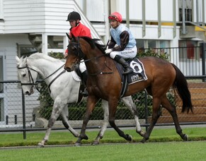 Sadhbh scores popular maiden win