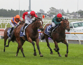 Gerard yet to confirm plans for 2000 Guineas pair