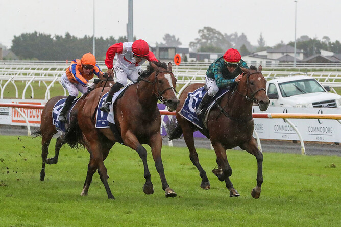 Romanoff (inside) and stablemate Affirmative Action fighting out the finish in last Saturday's Gr.1 New Zealand 2000 Guineas (1600m). - Photo: Race Images South