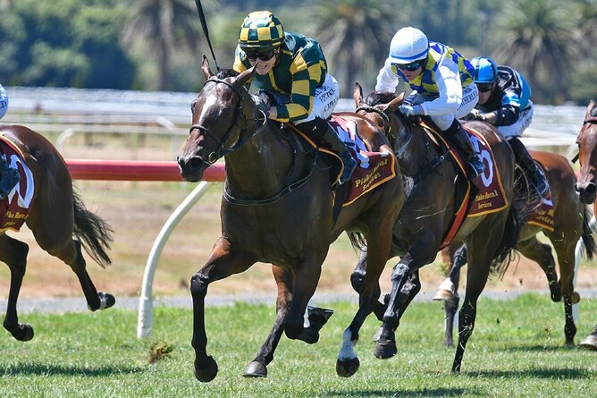Jade Dragon winning at Te Aroha on Wednesday - Photo: Race Images