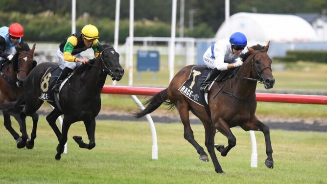 Savaglee will press on to the A$1 million Gr.1 Australian Guineas (1600m) after placing in the Gr.1 BCD Group Sprint (1400m) on Saturday.  - Photo: Peter Rubery (Race Images)