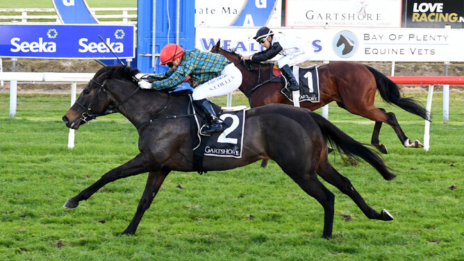 Cork claims a valuable black-type victory in the Tauranga Classic. - Photo: Kenton Wright (Race Images)